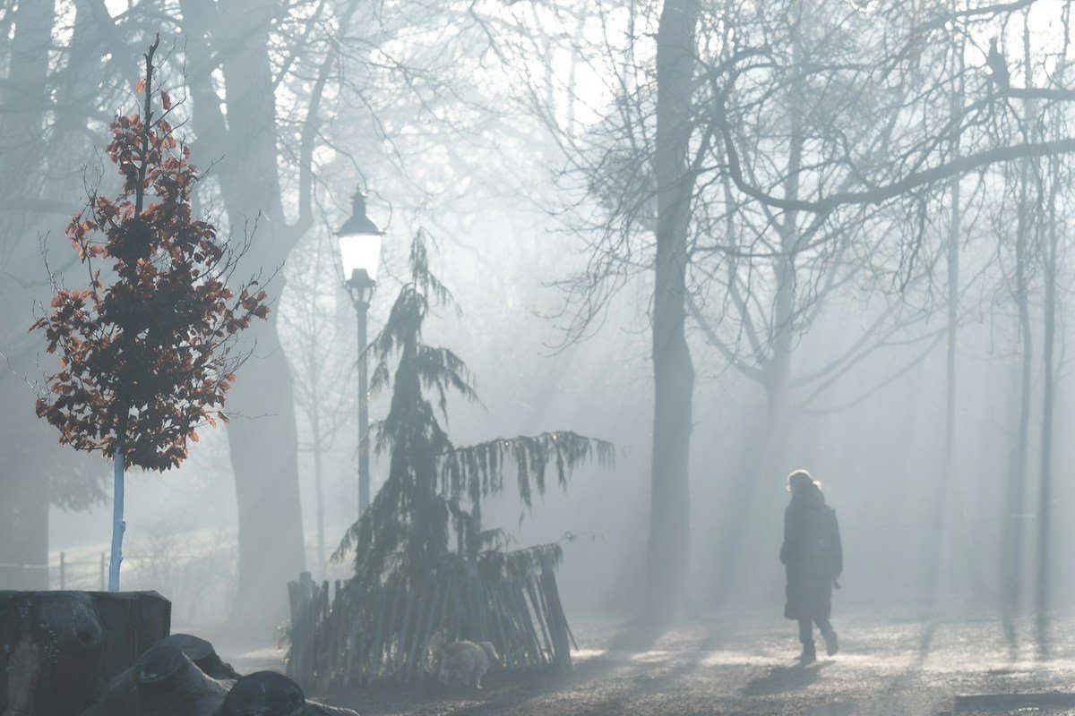 Spaziergang auf einem Parkweg im Morgennebel